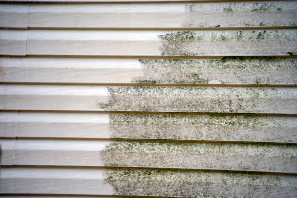 Best Fascia and Soffit Installation  in Napa, CA
